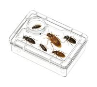 Reptile Feeding Bowl Clear Escape Resistant Compartment Dish Bearded Dragon Food Container Habitat Accessory | Terrarium Home Office Turtle Hermit Crab Frog Spider Feeding Station Enclosure