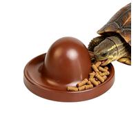Reptile Feeding Dish Anti-Trampling Spider Feeder