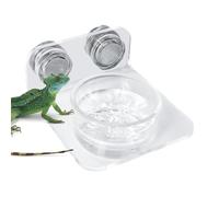 Reptile Feeding Ledge - Easy-Mount Reptile Feeder | Lizard Stable Feeding Station | Easy Installation Elevated Feeding Station For Lizards, Chameleons, Tree Frogs