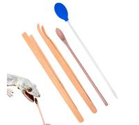 Reptile Feeding Tongs - 156g Stainless Steel | Straight Curved Terrarium Tools | Feeder Tool With Ergonomic Long Handle - Tank Accessories For Lizards Bearded Dragon Spider Turtles Leopard Geckos