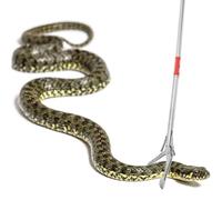 Reptile Feeding Tongs - Wide Folding Jaw Clamp | Non-slip Handle for Feeding Snakes | Heavy Duty Crab Eel Gripper Pickup Garbage Pickup Garden Park Or
