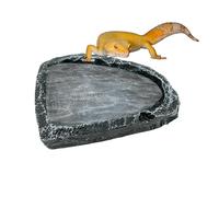 Reptile Food Bowl Leopard Gecko Water Dish