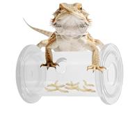Reptile Food Bowl - Rolling Slow Feeder for Engaging Natural Foraging, Impact-Resistant Acrylic with Ventilated Holes, Foraging Toy for Bearded Dragons and Geckos, Habitat Enrichment Tool