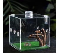 Reptile Food Box for Reptiles, Reptile Growth Terrarium, Acrylic Jumping Spiders, Clear Terrarium, Lightweight and Small Animal Breeders for Turtles, Beetles, Snails and Lizards