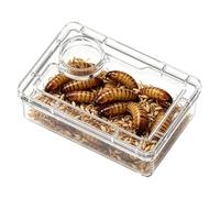 Reptile Food Dish - Escape Proof Compartment, 9.5cm Gecko Feeding Dish for Feeding, High Stability Base with Integrated Partition Wall, Habitat Accessory for Containing Managing Organizing Food