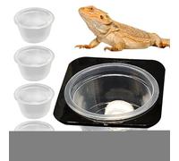 Reptile Food Dish, Lizard Food Feeder Crested Water Bowl, Detachable Feeding Dish with Cups Space Saving Tank Accessories for Tortoise & Box