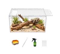 Reptile Growth Reptile PC Terrarium, Tarantula Enclosure, Spider Pool with Magnetic Button. 30 x 20 x 15 cm Lizard Enclosure, Reptile Breeding Pool for Insects, Fish, Tarantulas, Hermit Crabs