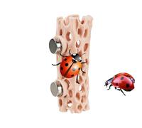 Reptile Habitat - Magnetic Amphibian Shelter | Jumping Spider Terrarium, Climbing Frog, Gecko - Safe and Convenient Enclosure for Reptiles & Amphibians