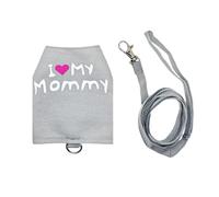 Reptile Harness - Luminous Glow Night Visibility, Lead Length Canvas Leashes, Nighttime Bearded Dragon s Walking Gear, Adjustable Metal Buckle Small Animal Tether | Gecko Vest for Walker