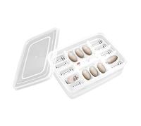 Reptile Hatching Box - Reptile Egg Tray, Crocodile Egg Box | 16 Grid Clear Reptile Egg Incubator Tray, Hatching Tray For Egg Development,