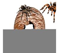 Reptile Hide, Resin Dinosaur Egg Shelter, 3.15 x 4.33 inches Gecko Hiding Spot, Decorative Pet Accessory for Garden Home Bedroom Corner Terrarium Burrow Viewing Room Climbing and Breeding