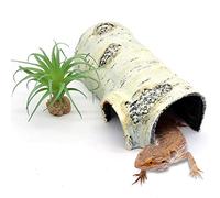 Reptile Hides and Caves Birch Tree Bark Trunk Habitats Decor Aquarium Decoration Wood for Lizard Geckos Snake Spiders Frogs Turtle (Large)