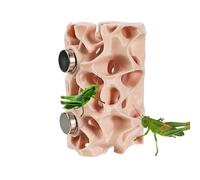 Reptile Hole | Magnetic Shelter - Habitat - Suitable For Spiders To Climb In Terrarium And Also For Small Pets Like s Geckos And Amphibians