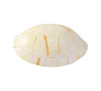 Reptile Home - Gecko Hide | Cave Hideaway Terrarium Habitat Decor | Reptile Skin | Small Lizard Hideaway and Climbing Room Decoration for Gecko Beard Dragon Snake Turtle Frog Natural Outside