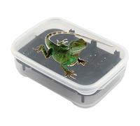 Reptile Incubation Box - Large Transparent Breeding And Hatching Container For Lizards And Geckos | Gecko Egg Incubator, Small Reptile Breeding Tray, Vivarium Hatchery Accessory
