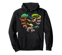 Reptile Lizard Snake Gecko Chameleon Reptile Hearts Pullover Hoodie