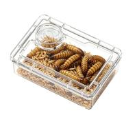 Reptile Rack - Anti-Leak Food 9.5 cm, Meal Larvae Feed, Calcium Powder Compartment | Terrarium Accessory in Transparent Polystyrene for Lizards, Chameleon