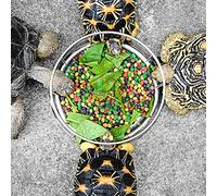 Reptile Rock Food and Dish Feeder Bowl for Torto Your pets. F Torto Feeder Bowl Reptile (75x173cm/29.5x68.1in)