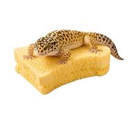Reptile Shedding Board Realistic Scratch-Resistant Molting Tool | Crested Gecko Shedding Aid for Terrarium Habitat Tank Breeding Box Bearded Dragon Lizard Snake