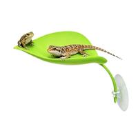 Reptile Shelf - Leaf Suction Cup Holder ABS Material Construction Light Green | Habitat Decor for Turtles, Frogs, Geckos, Lizards, Aquarium, Ter