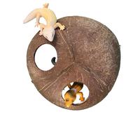 Reptile Shelter | Decorative Handmade Natural Cave with Two Entrances | Reptile Habitat - for Hermit Crabs, Small Snakes, Chameleons, Geckos, Land Terrariums, Glass Terrariums
