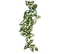 Reptile shelter Komodo Borneo Hanging Vine