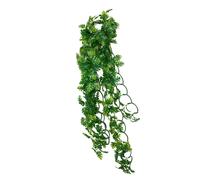 Reptile shelter Komodo Split Philodendron Plant