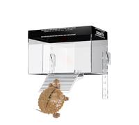 Reptile sun spot - 25x16x16 cm polycarbonate bath, turtle resting areas, turtle toppers the tank, housing with lid | Aquarium observation for living room hotels