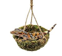 Reptile Tank Hammock - Hangable Lounging Net for Bearded Dragon | Enrichment Mesh with Aesthetic Design, Resting Climbing Basking Spot, Chameleon Gecko Lizard Play Accessory