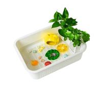Reptile Tank Turtle feeding tank double-layer turtle separation green plant landscaping Easy Assembly(White)
