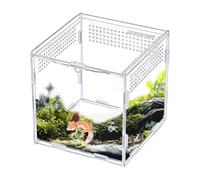 Reptile Terrarium, Acrylic Glass Animal Cage, Suitable for Small Reptiles, Spiders, Geckos, Lizards, Snakes, Frogs, Breeding, for Small Such as Jumping Spider, Gecko, Snake, Breeding and Feeding