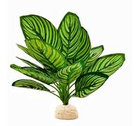 Reptile Terrarium Decor,Amphibian Habitat Decor,Artificial Plants for Crested Gecko Tank Accessories Suitable for Leopard Gecko Bearded Dragon Lizard Chameleon Snake Tortoise (Calathea makoyana-D)