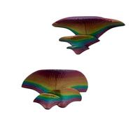 Reptile Terrarium Decoration, 3D Mushroom Ornaments, 2 Pieces Artificial House Decorations, For Frogs, Lizards, Barbecues, Beetles, Snakes, Spiders, Bearded Dragons, Rest and