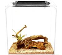 Reptile Terrarium,Jumping Spider Enclosure Starter Kit, Leopard Gecko Habitat Container for Small Reptiles,Amphibians,Lizard,Mantis,Corn Snake,Turtle,Frog,Chameleons (7.8 * 7.8 * 11in)