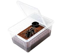 Reptile Terrarium Transparent Ventilated Large Lizard Terrarium | Reptile and frog enclosure for bearded dragons, iguanas, jumping spiders, turtles, amphibians, reptiles, arachnids