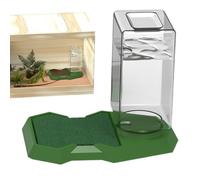 Reptile -Turtle Feed Dispenser-Hamster Water Dispenser | Resistance Proof with Stable Base for Various Small Animals PP Material for Lizards Geckos Hamster City