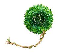 Reptile Vines | Flexible, Realistic Looking Climbing Plants - Accessories for Jumping Spider Terrariums - Decoration for Home, Terrarium & Zoo