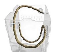 Reptile Vines Terrarium - 39.37 Inches PC Bendable Jungle Climbing Branch | Nonț Suction Cup DIY Habitat Decor, Flexible Vivarium Enclosure Accessory For Bearded Dragon, Lizard, Geckos, Chame