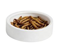 Reptile Water Bowl Anti-Escape Ceramic Round