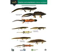 Reptiles and Amphibians of Britain and Ireland: No. 55 (WildID)