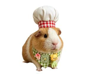 Reptiles Hat and Bib Photo Outfit for Hamsters and Small Pets, Soft Fabric Costume Set for Pet Display and Dress Up Moments Small Pet Costume Hamster Outfit Hat Bib Set Animal Soft Fabric Accessory Up