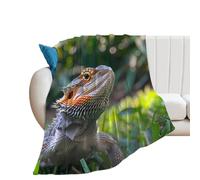 Reptiles Iguana Bearded Dragon Lizard Flannel Blanket Soft Throw Blanket Warm Bed Blankets Decorative Blanket for Women Men 40"*50" （100 * 130cm）