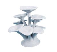 Reptiles Mushroom Basking Platform for Habitat Decor, Bearded Dragon Perch Stand with Rounded Lines for Daily Terrarium Use Bearded Dragon Perch Terrarium Platform Basking Decor Climbing Stand Habitat