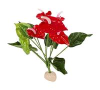 Reptiles Planet Anthurium Plant on Stand, 33 cm, Red