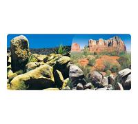 Reptiles-Planet Francoo Beach Shorts Summer Coconut Palm Swimming Trunks Men Print Swimwears Surf Short Board Shorts Male S-XXL Yellow Large