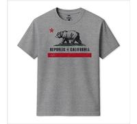Republic of California Men's Old Flag T-Shirt in Grey | Size: 3XL Republic of California Grey 3XL