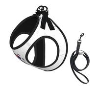 Republic of Korea Flag Map Print Small Dog Harness with Leash Set, No Escape Easy Walk Puppy Harnesses for Training Walking