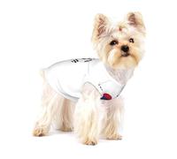 Republic of Korea Flag Map print Tshirts for Small Dogs Dog's Fashion Shirt Breathable Sleeveless Shirts for Small Dogs