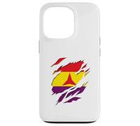 Republican Flag International Brigades 3D Effect Case for iPhone 13 Pro
