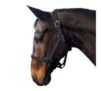 Requisite Econ Head Collar Horse Riding Accessories Headcollar Black Full